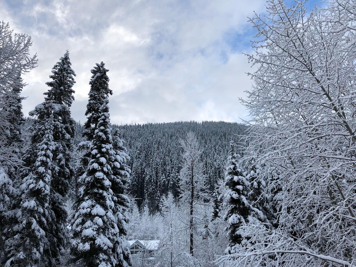 The Burfield Hotel Sun Peaks Luaran gambar