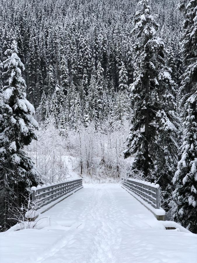 The Burfield Hotel Sun Peaks Luaran gambar